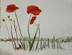 Mental Health Peer Support Worker 2017-2021-Poppies painted by Tony 2018